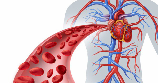 Có 1 loại quả gia vị đàn ông nào cũng thích: Lợi tim, thông huyết, ngừa ung thư