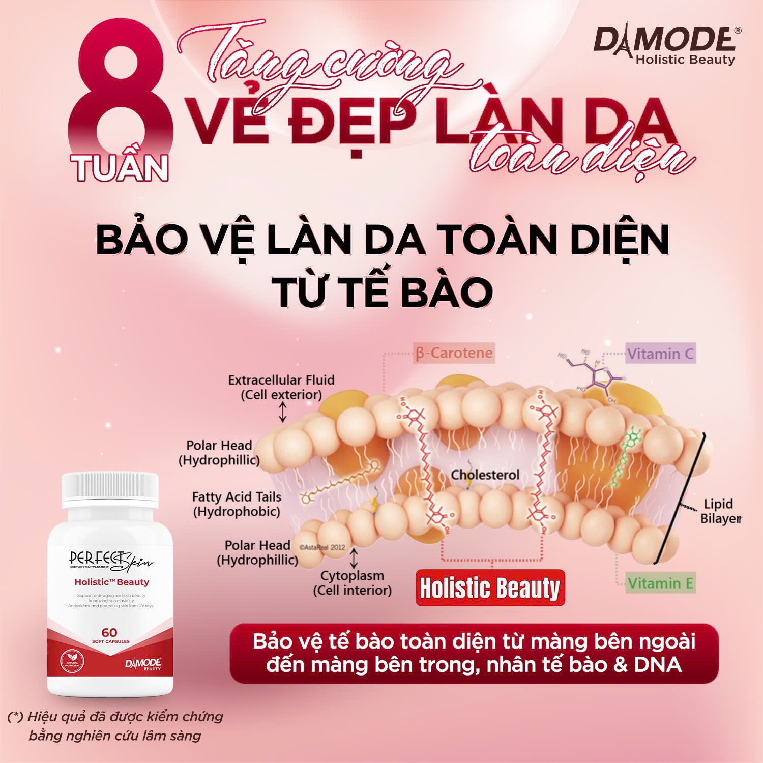 HO.LIS.TIC BEAUTY - ĐẸP TOÀN DIỆN