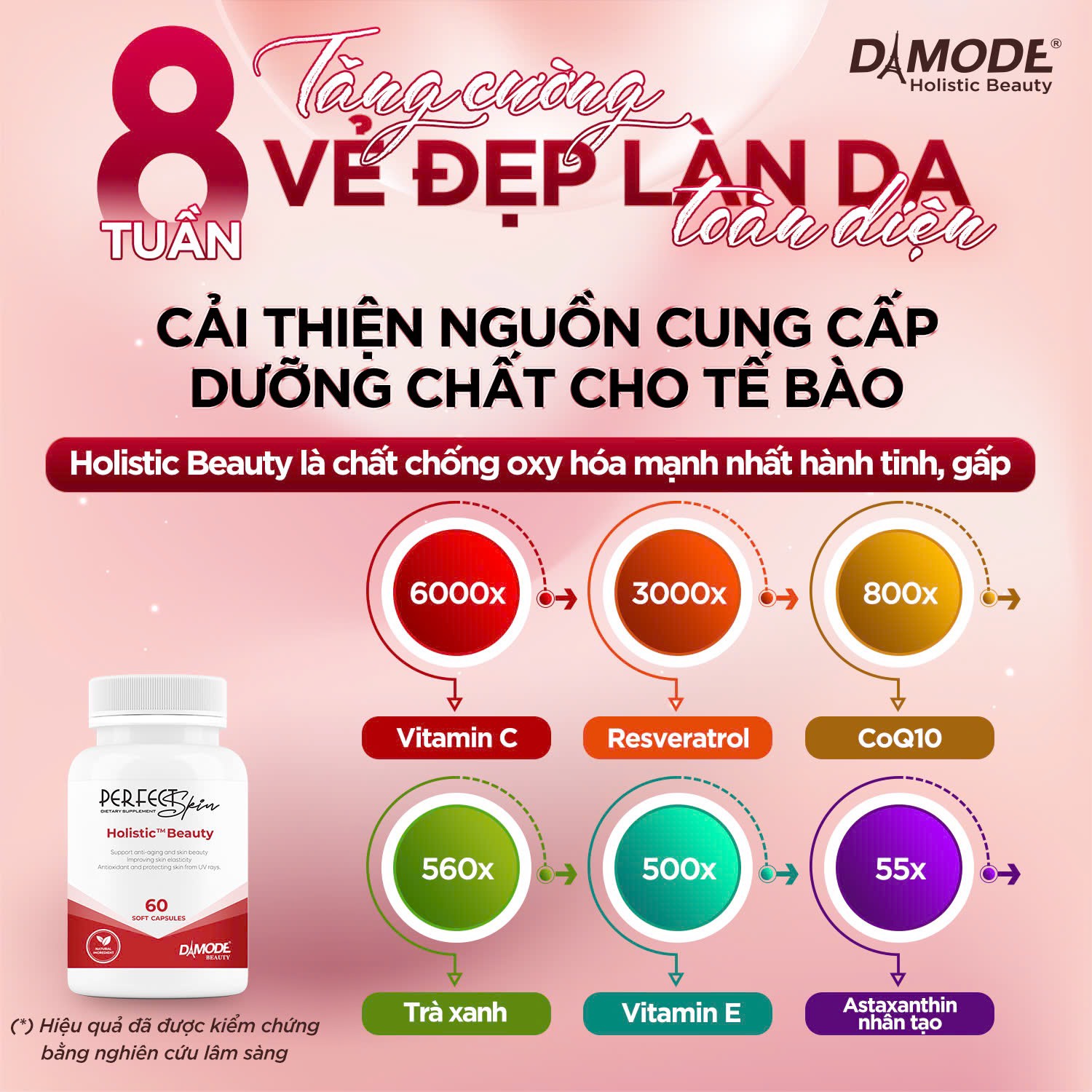 HO.LIS.TIC BEAUTY - ĐẸP TOÀN DIỆN